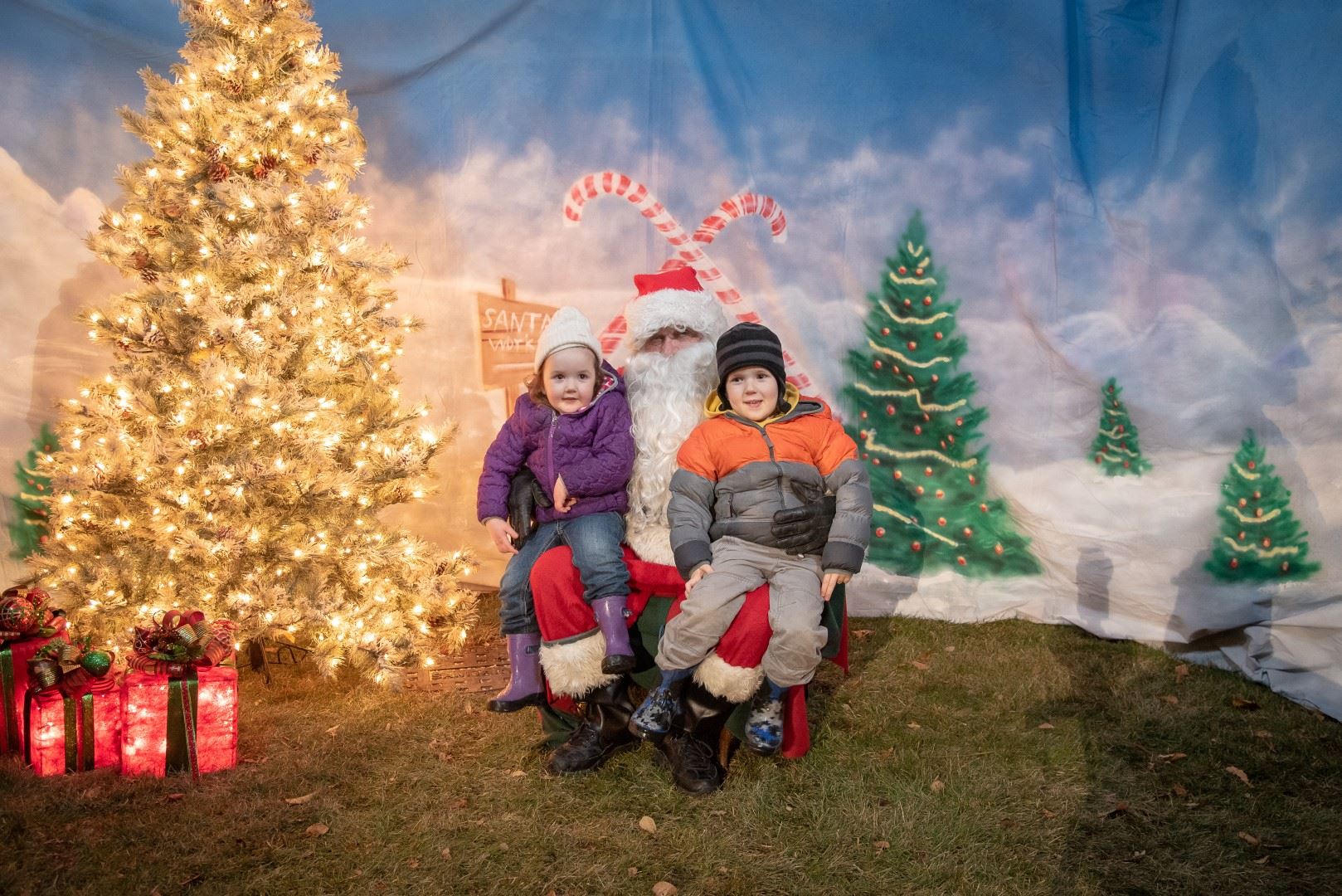 BL-203558-6028 (Large)