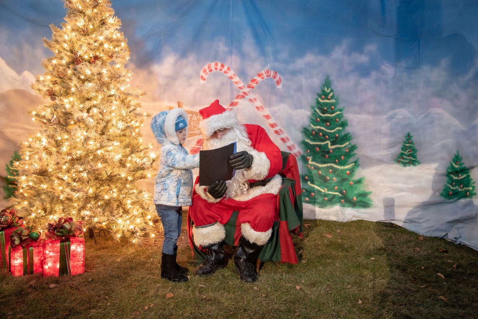 BL-202936-6008 (Large)