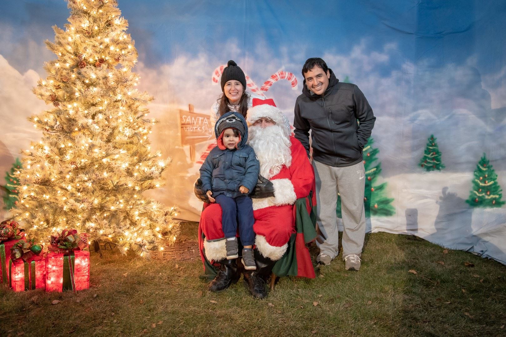 BL-202915-6006 (Large)